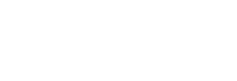 Travel Sergeant logo